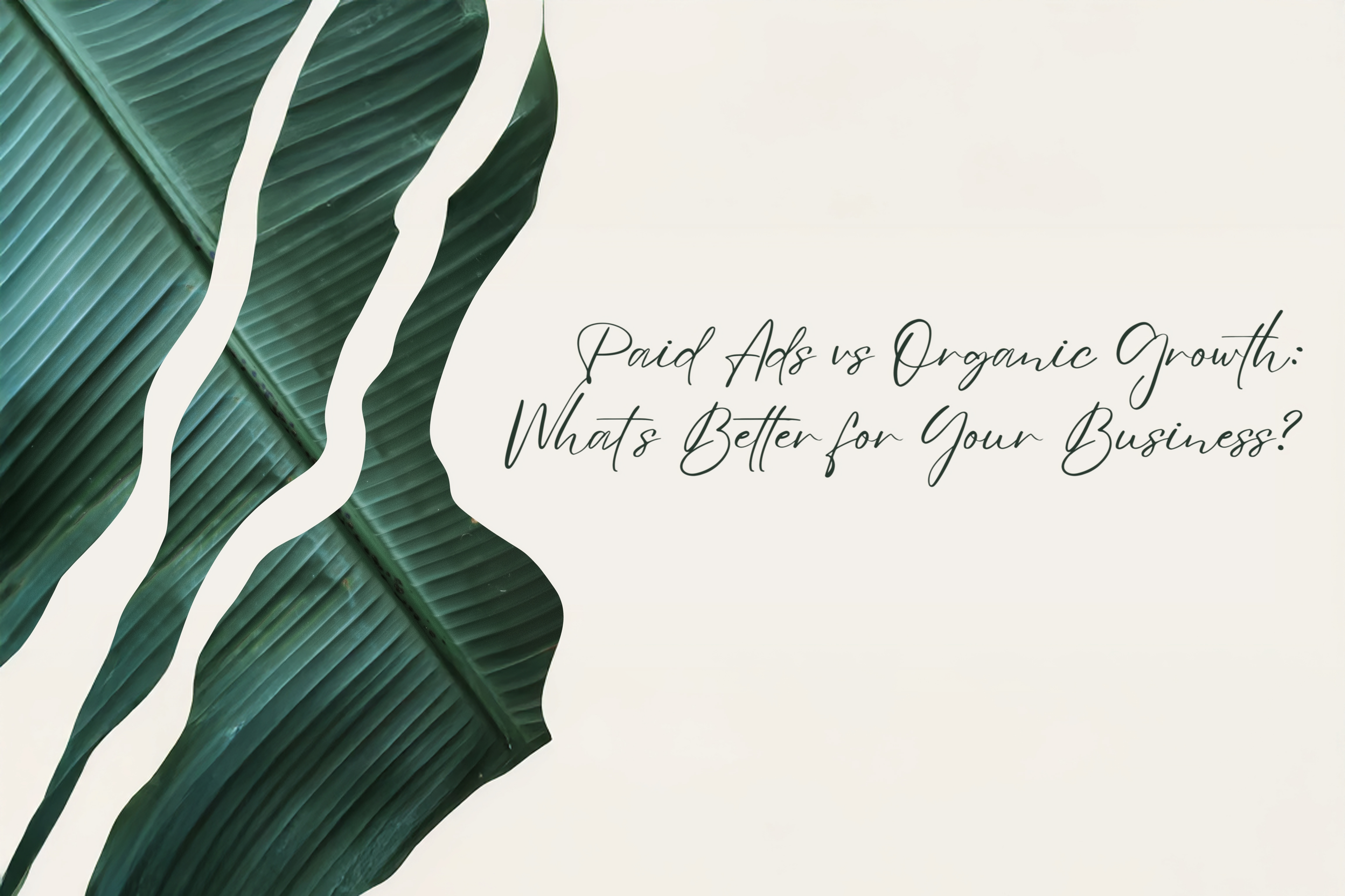 Paid Ads vs Organic Growth: Which Strategy Is Better for Your Business?